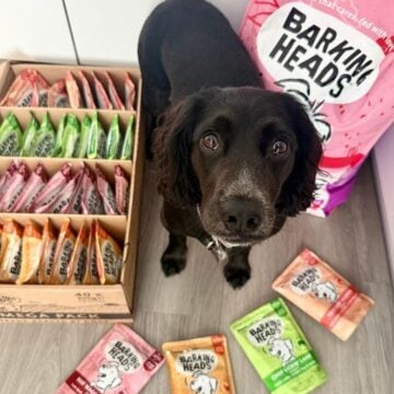 Paw Lickin’ Chicken by Barking Heads: A Real Look at What’s in the Bowl