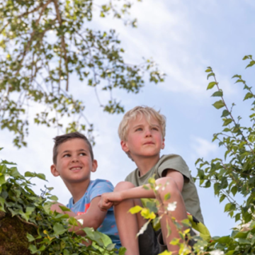 RCN.nl: Het creëren van onvergetelijke vakantie-ervaringen door natuur, comfort en gezinsvriendelijke recreatie
