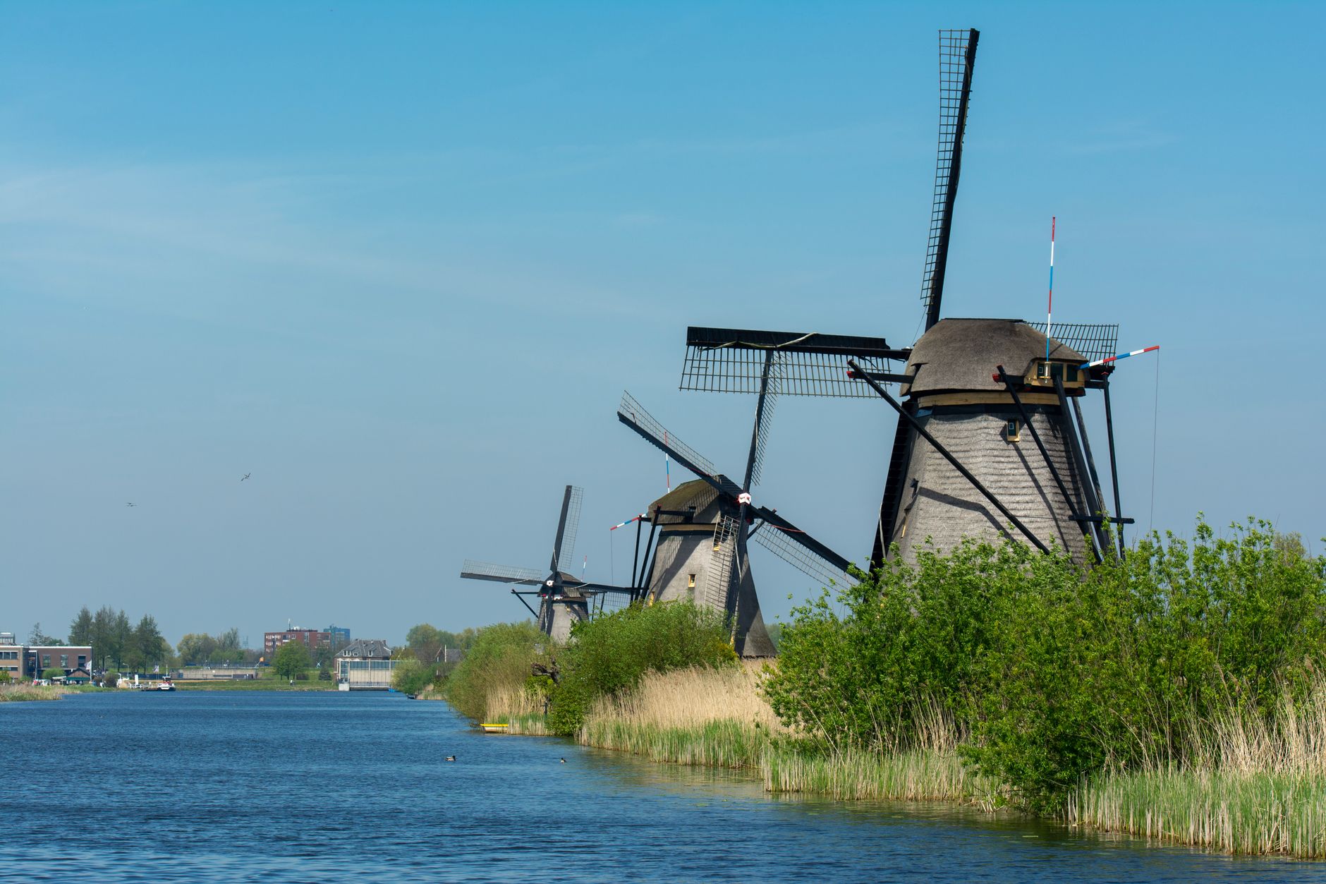 Nederlandse landschap