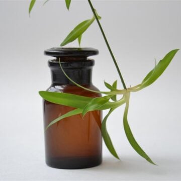 PromoFarma is a European online pharmacy platform that offers a wide range of healthcare, beauty, and wellness products. Known for its competitive pricing and extensive catalog, PromoFarma connects customers with trusted pharmacies, making it easy to access essential products from the comfort of home.
