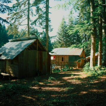 Ontdek De Magie Van Een Verblijf In Het Bos Met Natuurhuisje.nl