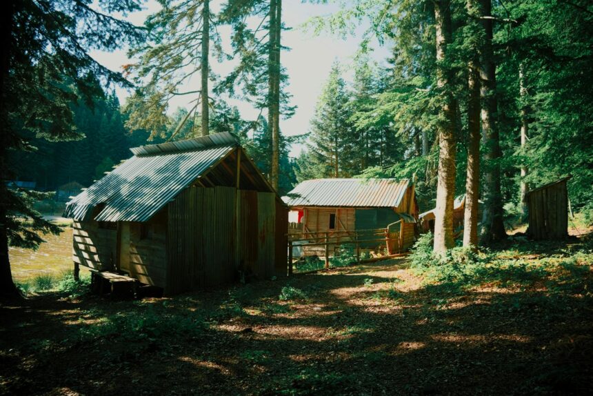 Ontdek De Magie Van Een Verblijf In Het Bos Met Natuurhuisje.nl
