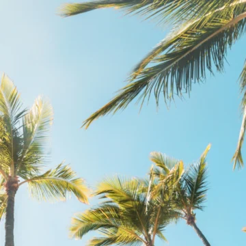 De Beste Zonvakanties voor Ontspanning, Avontuur en Zomerse Temperaturen