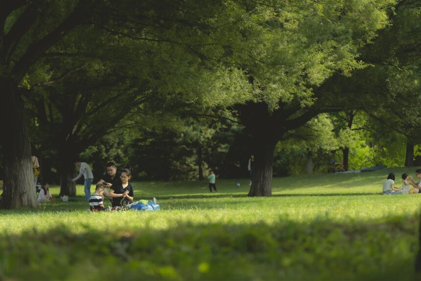 In de drukke wereld van vandaag zijn veel mensen op zoek naar vakanties die meer bieden dan alleen een verandering van locatie. Ze willen ruimte om te ontspannen, tijd met familie, toegang tot de natuur en mogelijkheden om te genieten van zinvolle buitenervaringen. RCN.nl biedt precies dat door gastvrije vakantieparken aan te bieden waar gasten kunnen genieten van comfort, recreatie en prachtige natuur. RCN staat bekend om haar vakantieparken in Nederland, Frankrijk en Duitsland. Deze bestemmingen zijn ontworpen voor gezinnen, stelletjes, groepen en natuurliefhebbers die willen ontsnappen aan de dagelijkse routine en willen genieten van een verfrissende vakantie-ervaring. Of gasten nu de voorkeur geven aan kamperen, verblijven in een vakantiehuis of kiezen voor een comfortabelere glamping-optie, RCN.nl biedt flexibele accommodatiekeuzes voor verschillende reisstijlen.